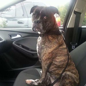 Meet your Posher, Bryan